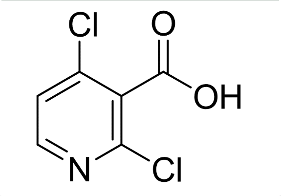 2，4-二氯烟酸