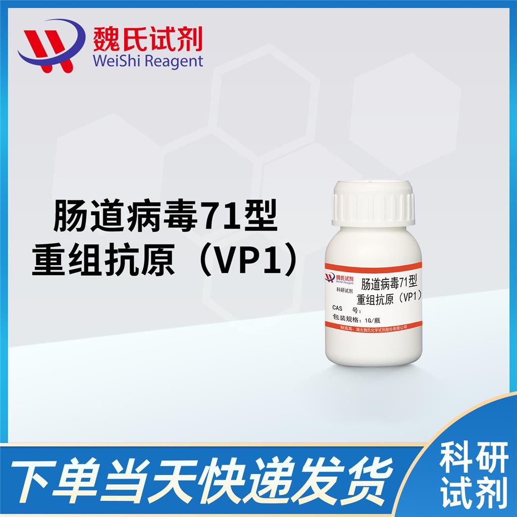 肠道病毒71型重组抗原（VP1）