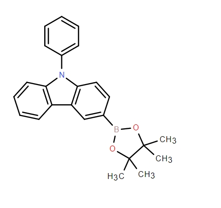 9-苯基-9H-咔唑-3-硼酸哪醇酯1126522-69-7