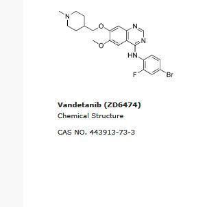 Vandetanib (ZD6474),443913-73-3-Adooq
