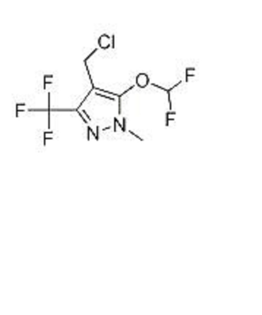 1-甲基-3-三氟甲基-4-氯甲基-5-二氟甲氧基-1-H-吡唑