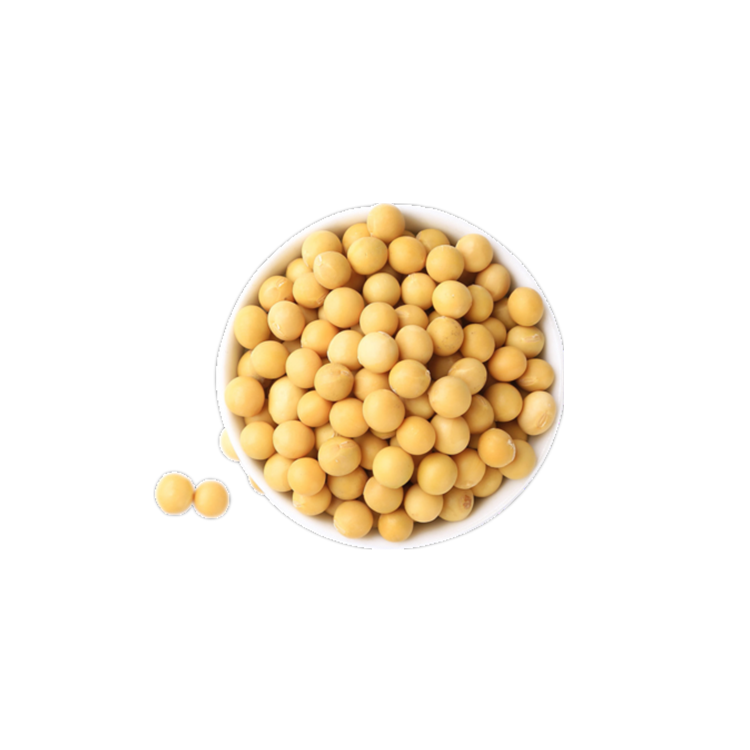 西安嘉天供应 大豆肽99% 大豆低聚肽粉 小分子肽 大豆蛋白肽