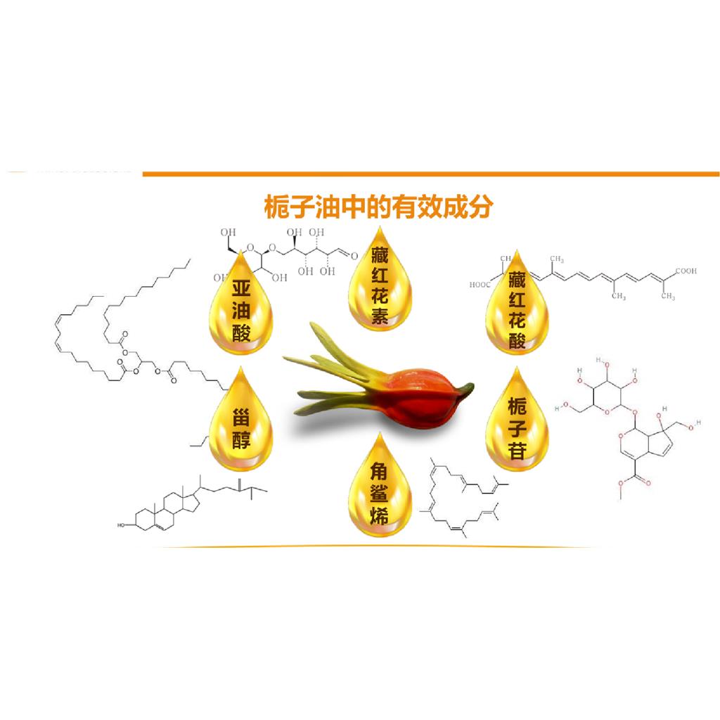 栀子（GARDENIA FLORIDA）油 栀子果油 源头厂家