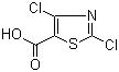 CAS 登录号：62019-56-1, 2,4-二氯-5-噻唑羧酸