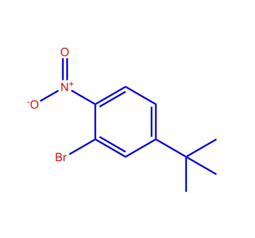 3-溴-4-硝基叔丁基苯860687-69-0