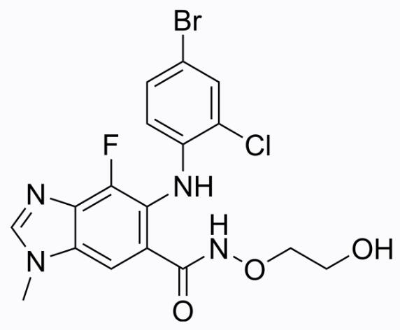 Selumetinib (AZD6244)|100mg|Adooq