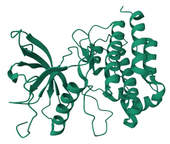 人FGFR1(C584S)蛋白, Tag free, 昆虫表达体系