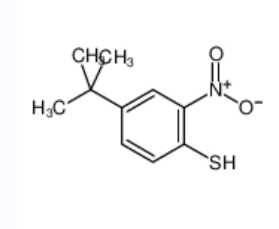 4-叔丁基-2-硝基苯硫酚	