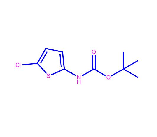 (5-氯-2-噻吩)氨基甲酸叔丁酯63806-71-3