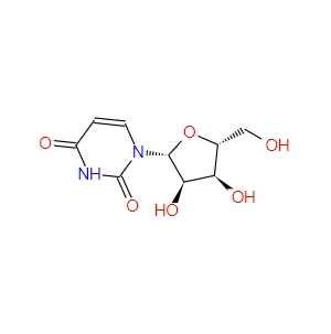 尿苷  Uridine  58-96-8