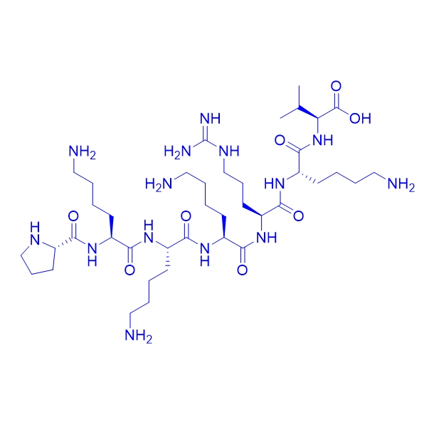 基因导入多肽NLS (PKKKRKV)/95088-49-6/NLS (PKKKRKV)