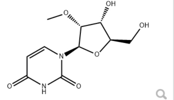 2'-甲氧基尿苷