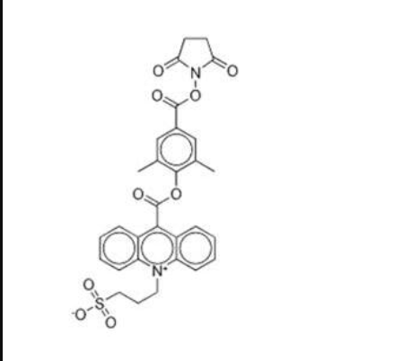 吖啶酯(NSP-DMAE-NHS)