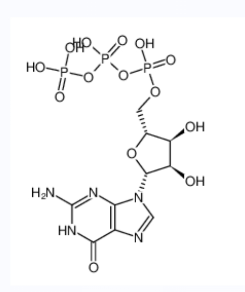 鸟苷三磷酸	