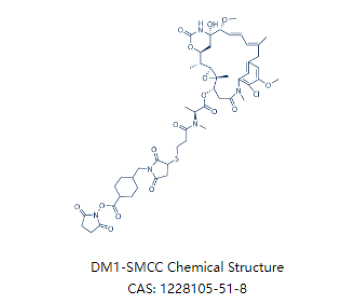 SMCC-DM1