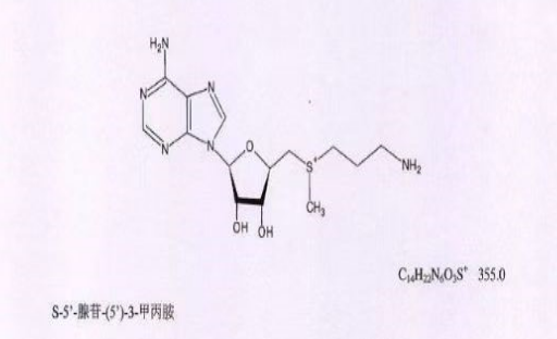 脱羧腺苷蛋氨酸