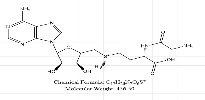 S-腺苷-L-蛋氨酸甘氨酸异构体2