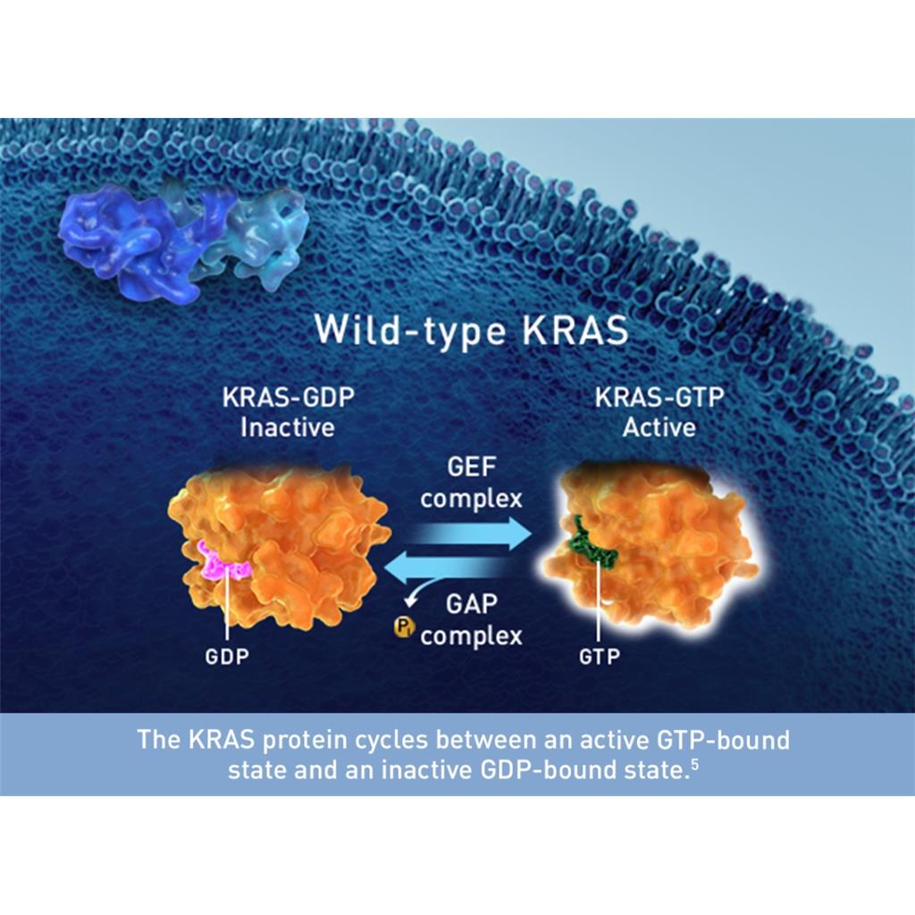 BI-0474 KRASG12C