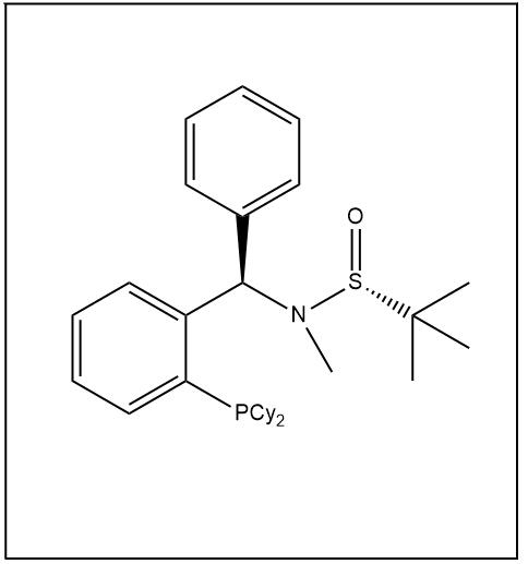 S(R)]-N-[(R)-[2-(二环己基膦)苯基]苯甲基]-N-甲基-2-叔丁基亚磺酰胺 2565792-19-8