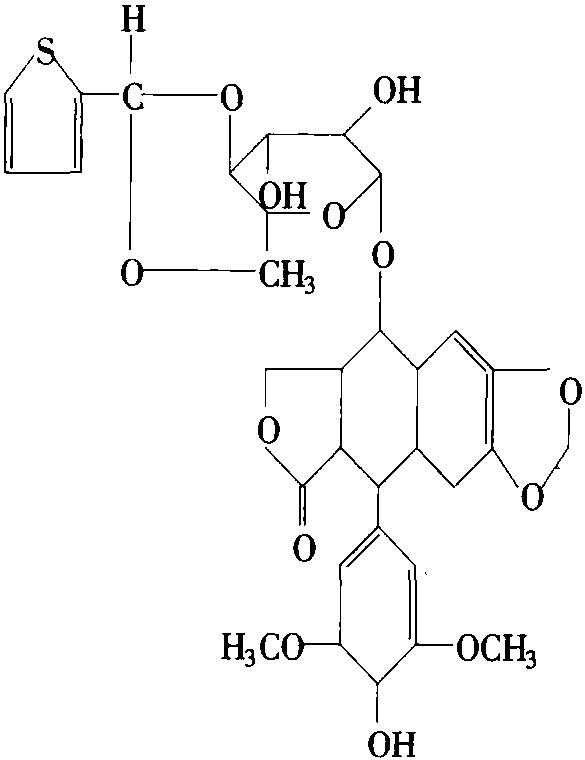 替尼泊苷 4'-去甲基表鬼臼毒素-Β-D-葡萄糖甙