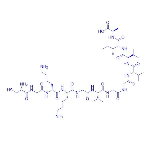 β淀粉样改进肽/1802078-25-6/Cys-Gly-Lys-Lys-Gly-Amyloid β-Protein (36-42)