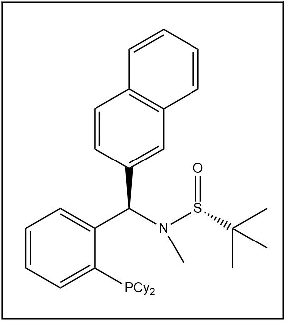 S(R)]-N-[(R)-[2-(二环己基膦)苯基]-2-萘基甲基]-N-甲基-2-叔丁基亚磺酰胺