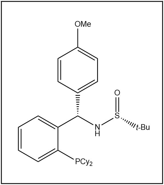 S(R)]-N-[(S)-(4-甲氧基苯基)[2-(二环己基膦)苯基]甲基]-2-叔丁基亚磺酰胺 2891776-25-1