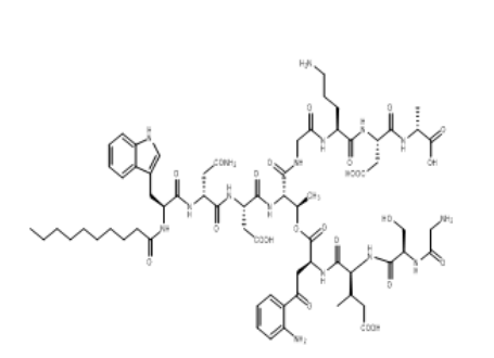 RS-3，达托霉素水解片段