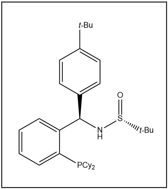 S(R)]-N-[(R)-(4-叔丁基苯基)[2-(二环己基膦)苯基]甲基]-2-叔丁基亚磺酰胺