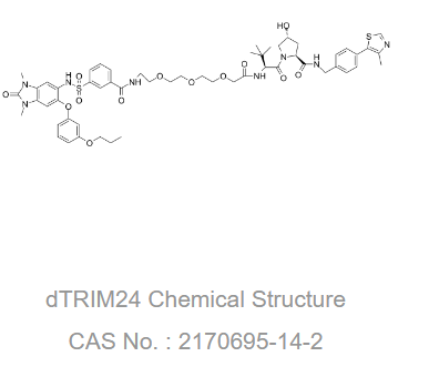 dTRIM24 是一种选择性的双功能 TRIM24 降解剂。