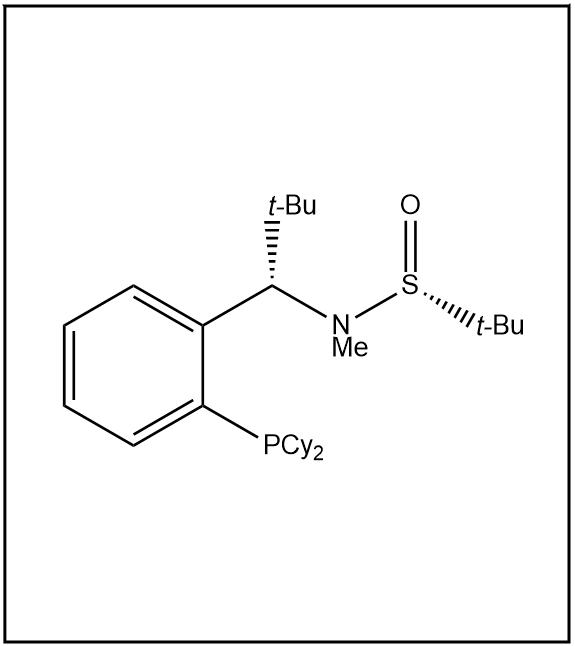 S(R)]-N-[(1S)-1-[2-(二环己基膦)苯基]-叔丁基]-N-甲基-2-叔丁基亚磺酰胺