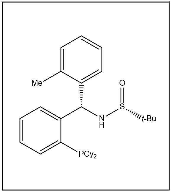 S(R)]-N-[(S)-(2-甲基苯基)[2-(二环己基膦)苯基]甲基]-2-叔丁基亚磺酰胺