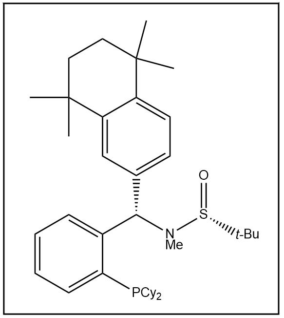 S(R)]-N-[(S)-[2-(二环己基膦)苯基](5,6,7,8-四氢-5,5,8,8-四甲基-2-萘基)甲基]-N-甲基-2-叔丁基亚磺酰胺