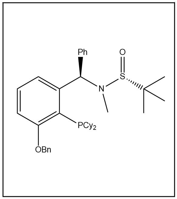 S(R)]-N-[(R)-[(3-苄氧基-2-(二环己基膦)苯基)苯甲基]-N-甲基-2-叔丁基亚磺酰胺 2565792-50-7