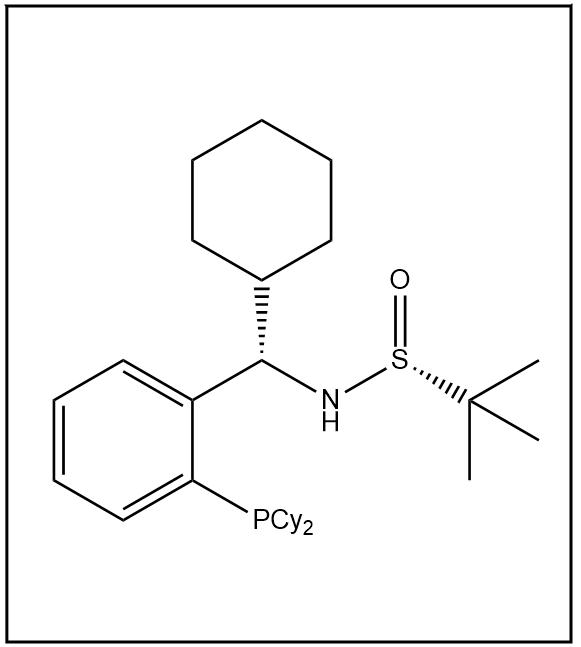 S(R)]-N-[(1S)-[2-(二环己基膦)苯基]-环己基]-2-叔丁基亚磺酰胺