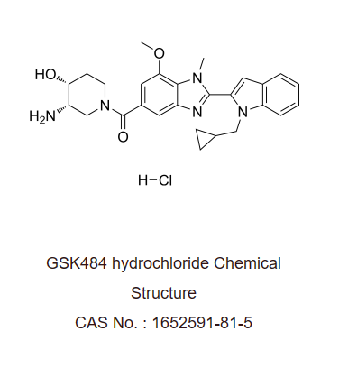 GSK484 hydrochloride 是一种有效且可逆的肽酰基精氨酸脱亚氨酶 4 (PAD4) 抑制剂