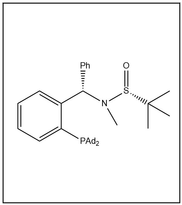 S(R)]-N-[(S)-[2-(二金刚烷基膦)苯基]苯甲基]-N-甲基-2-叔丁基亚磺酰胺 2413724-69-1