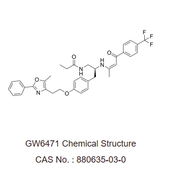 GW 6471 是一种有效的 PPARα 拮抗剂