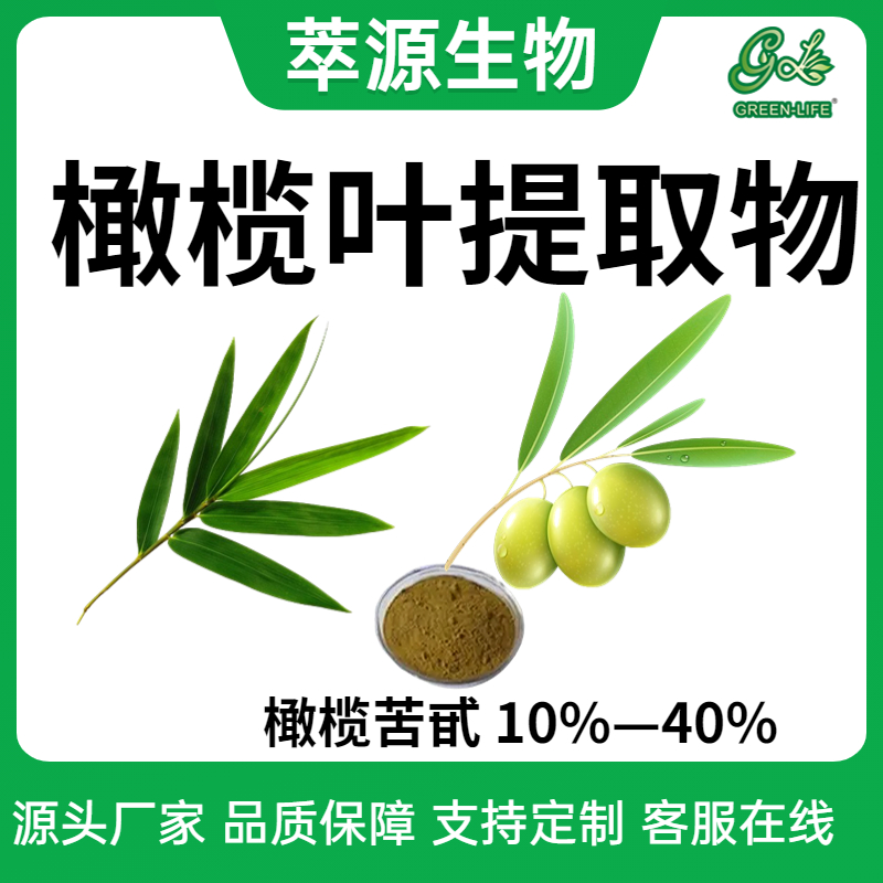 橄榄叶提取物 橄榄苦甙 10%-40% 羟基酪醇 植物提取物原料