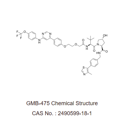 GMB-475 是一种基于PROTAC 的BCR-ABL1酪氨酸激酶降解剂，克服了BCR-ABL1依赖的耐药性。