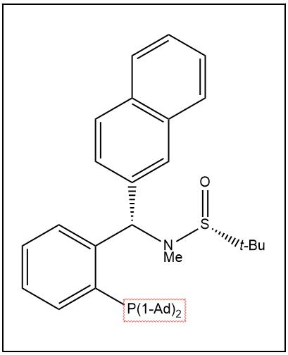 S(R)]-N-[(S)-[2-(二金刚烷基膦)苯基](2-萘基)甲基]-N-甲基-2-叔丁基亚磺酰胺