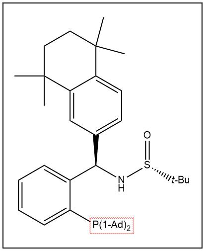 S(R)]-N-[(R)-[2-(二金刚烷基膦)苯基](5,6,7,8-四氢-5,5,8,8-四甲基-2-萘基)甲基]-2-叔丁基亚磺酰胺