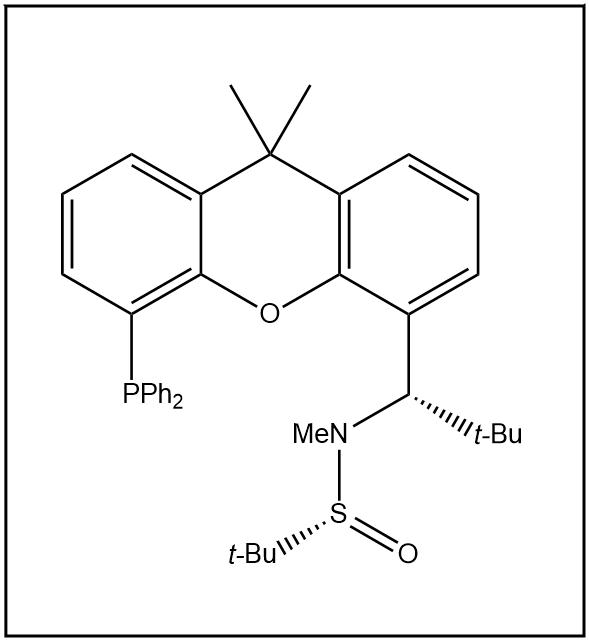 S(R)]-N-[(S)-[2-(1-叔丁基甲基)][5-(二苯基膦)-9,9-二甲基-9H-氧杂蒽]甲基]-N-甲基-2-叔丁基亚磺酰胺