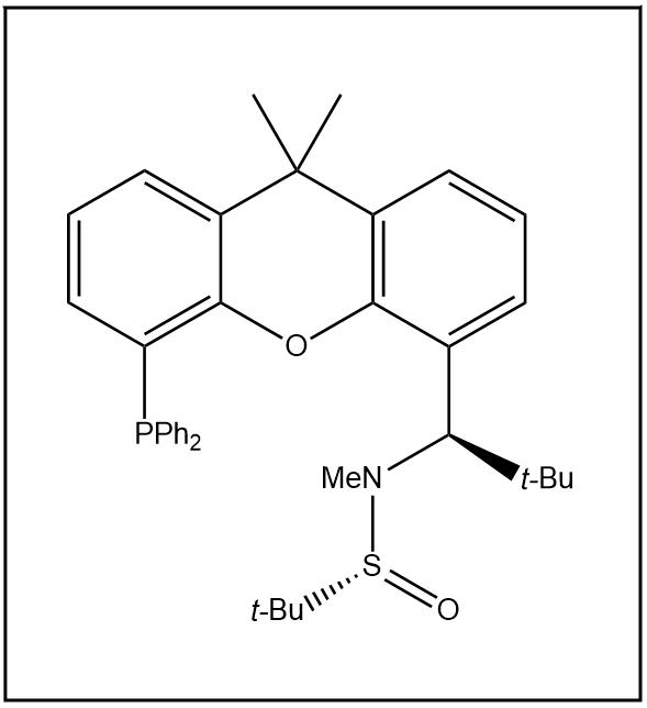 S(R)]-N-[(R)-[2-(1-叔丁基甲基)][5-(二苯基膦)-9,9-二甲基-9H-氧杂蒽]甲基]-N-甲基-2-叔丁基亚磺酰胺