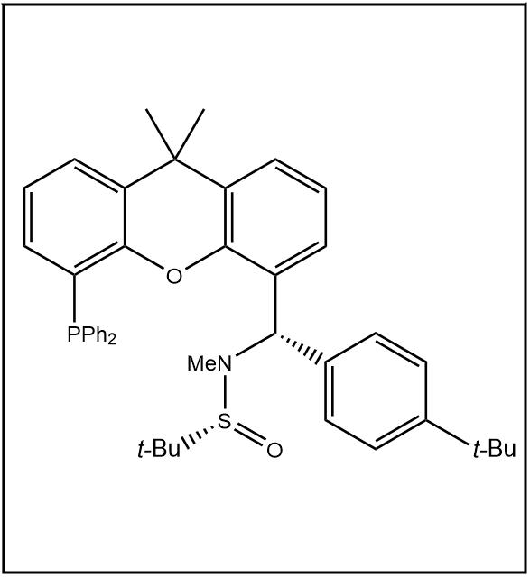 S(R)]-N-[(S)-(4-叔丁基苯基)[5-(二苯基膦)-9,9-二甲基-9H-氧杂蒽]甲基]-N-甲基-2-叔丁基亚磺酰胺 2374225-91-7