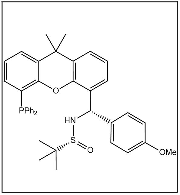 S(R)]-N-[(S)-[5-(二苯基膦)-9,9-二甲基-9H-氧杂蒽](4-甲氧基苯基)甲基]-2-叔丁基亚磺酰胺 2160535-57-7