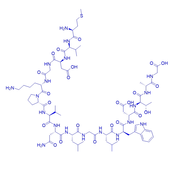 片段多肽Rac1InhibitorW56/1095179-01-3/Rac1InhibitorW56