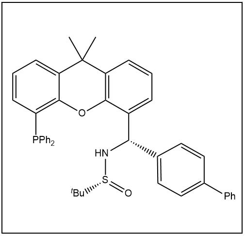 S(R)]-N-[(R)-(4-苯基苯基)[5-(二苯基膦)-9,9-二甲基-9H-氧杂蒽]甲基]-2-叔丁基亚磺酰胺 2538526-69-9