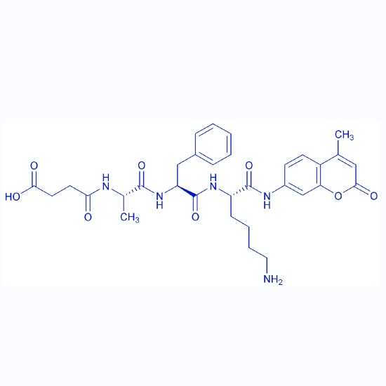 高度敏感荧光底物Suc-AFK-AMC/73207-91-7/Suc-Ala-Phe-Lys-AMC