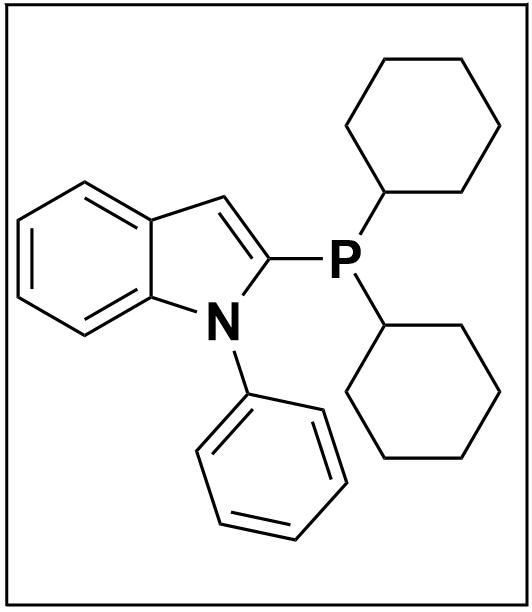 2-(二环己基膦基)-1-苯基吲哚